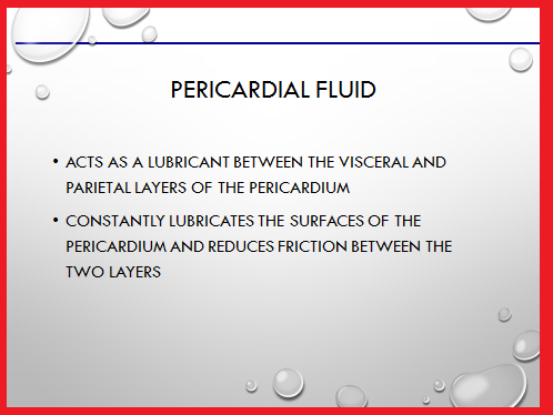 What is the main function of the pericardium?
